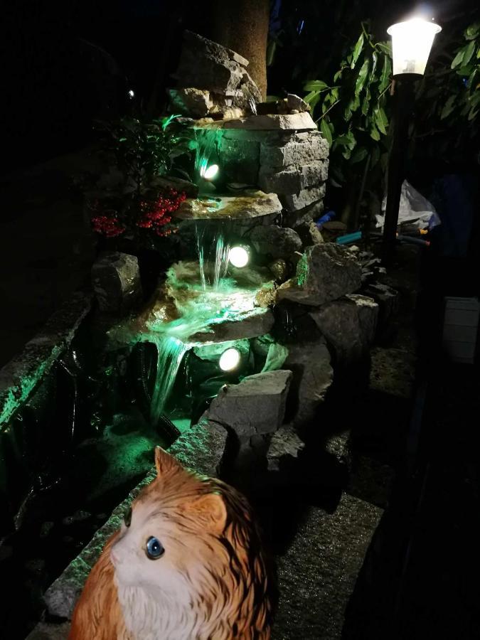 B&B La Terrazza Sui Fieschi Cogorno 외부 사진