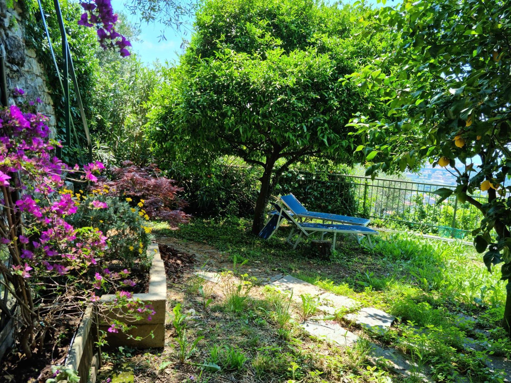B&B La Terrazza Sui Fieschi Cogorno 외부 사진