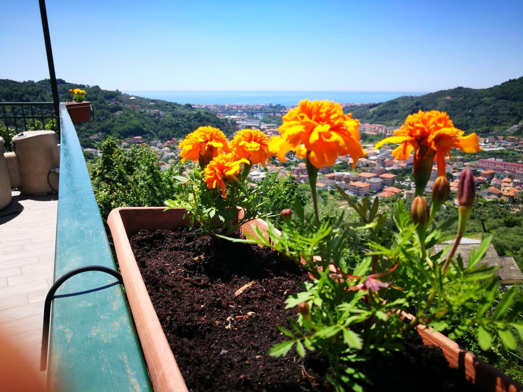 B&B La Terrazza Sui Fieschi Cogorno 외부 사진